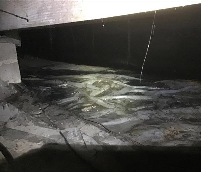 sewage leak in commercial crawlspace