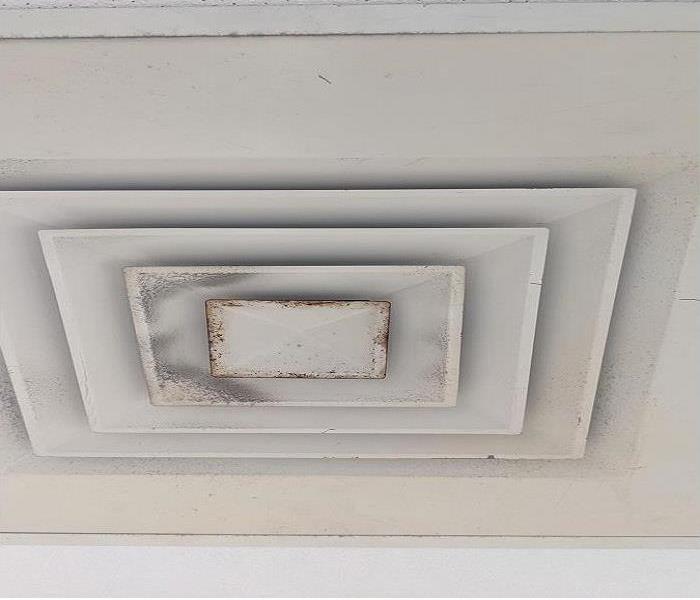 Stains, mold, and mildew residing on this vent before our experienced team took care of it...