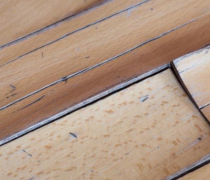 Water damage in floorboards